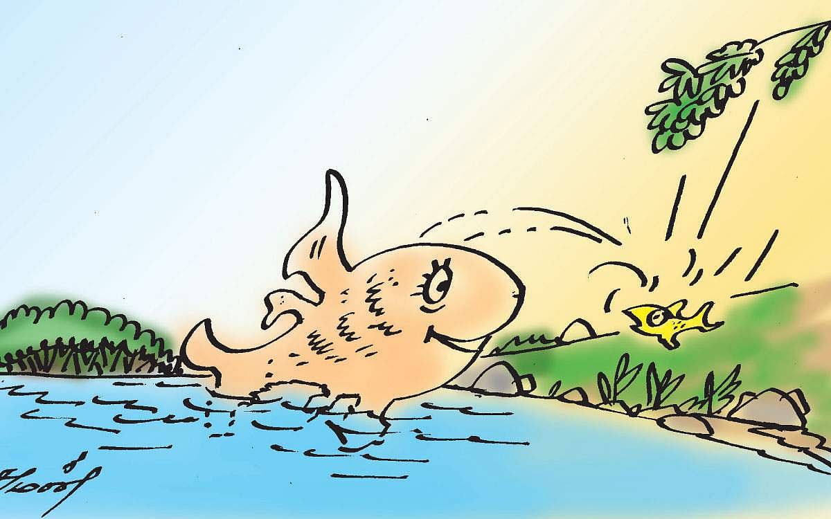 குட்டிமீன்!