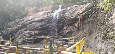 கனமழையால் சுருளி அருவியின் நீர்ப்பிடிப்பு பகுதிகளில் நீர்வரத்து