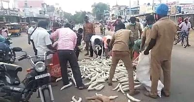 விலை விரக்தியில் புடலங்காய்களை சாலையில் கொட்டிய விவசாயி: முண்டியடித்துக்கொண்டு அள்ளிச் சென்ற பொதுமக்கள்!