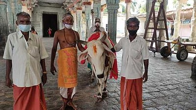 சட்டநாதா் கோயிலில் கோ- பூஜை