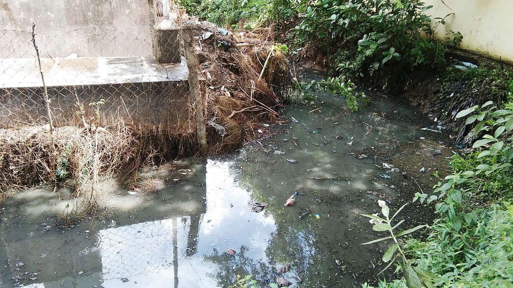 பாகிஸ்தானில் வேன் கால்வாயில் கவிழ்ந்து விபத்து: 7 குழந்தைகள் உள்பட 11 பேர் பலி