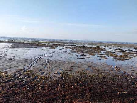 Sea photo