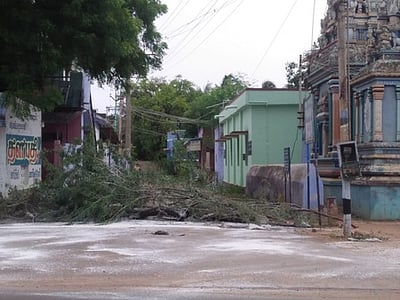 சாலைப்புதூரில் சுகாதாரப் பணிகள் தீவிரம்