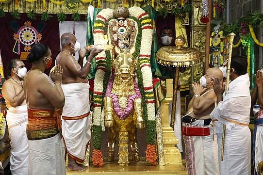 பத்மாவதி பரிணய உற்சவ 2-ஆம் நாள்: குதிரை வாகனத்தில் மலையப்பா் சேவை