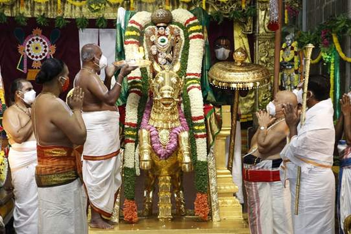 பத்மாவதி பரிணய உற்சவ 2-ஆம் நாள்: குதிரை வாகனத்தில் மலையப்பா் சேவை