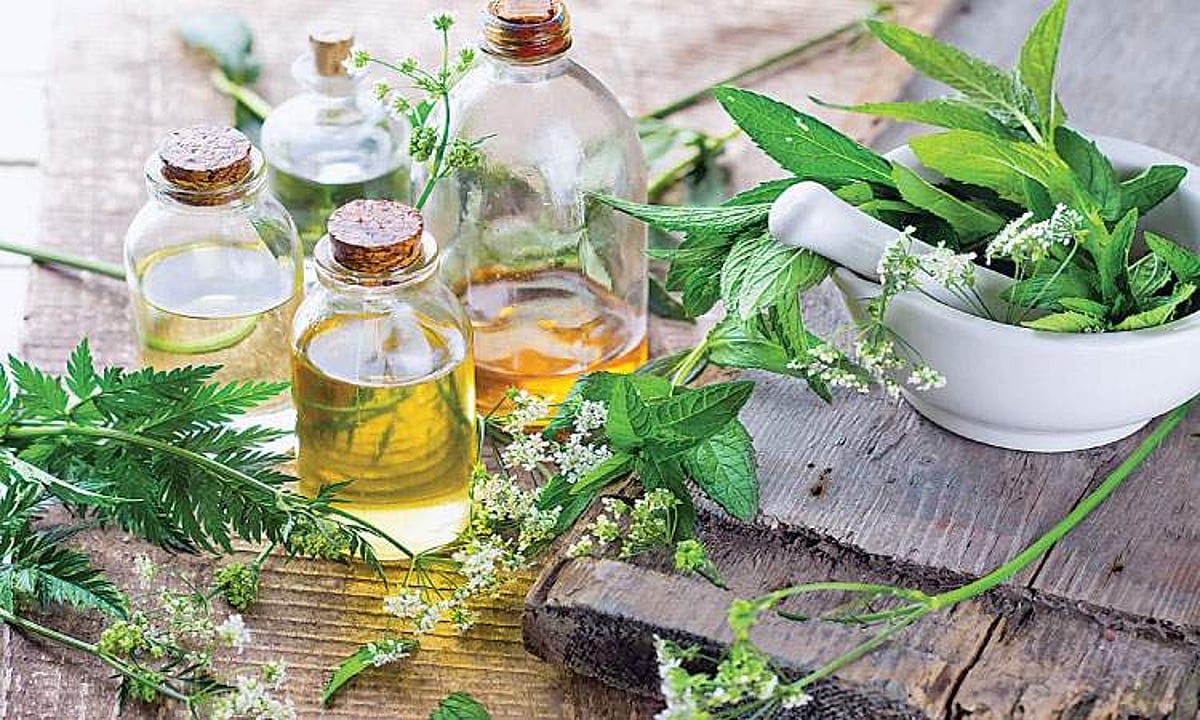 ஆயுள் காக்கும் ஆயுர்வேதம்: வாத, பித்த, கபங்களின் சமநிலை... ஆரோக்கியம்!