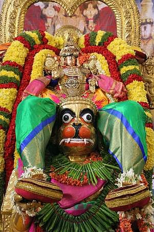 அனுமந்த வாகனத்தில் ஸ்ரீ கோவிந்தராஜ சுவாமி