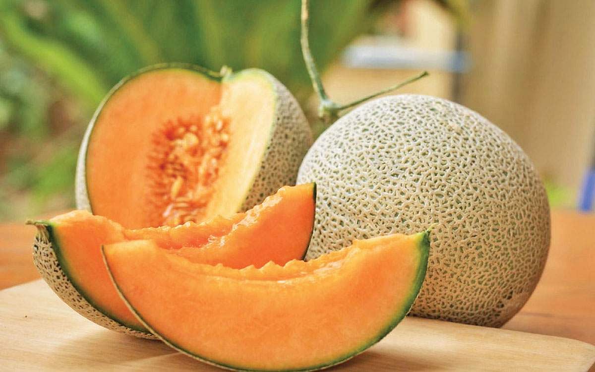 கிர்ணி பழத்தின் சிறப்புகள்!