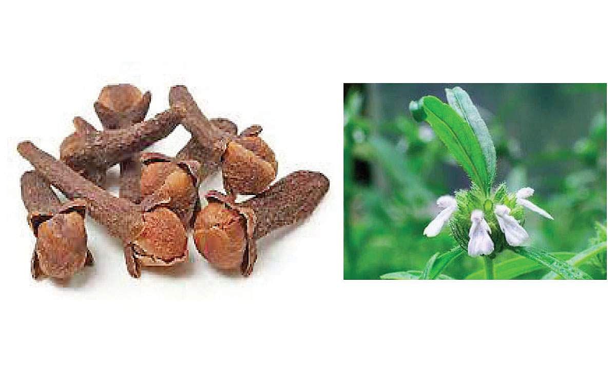 கை வைத்திய குறிப்புகள்...