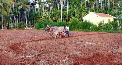 வாழப்பாடி: கோடை உழவுப் பணிகளில் விவசாயிகள் மும்முரம்