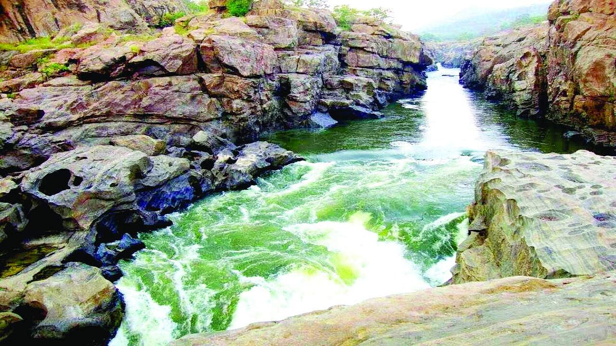 மேக்கேதாட்டு அணை கட்டுமான விதிமீறல் விவகாரம்: அறிக்கை தாக்கல் செய்ய குழுவை அமைத்தது என்ஜிடி