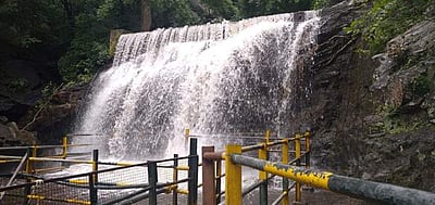 சுருளி அருவியில் வெள்ளம்: நீர்பிடிப்பு பகுதிகள் தொடர் மழை எதிரொலி