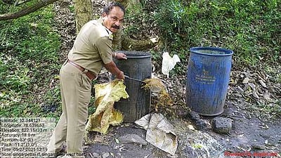 சிங்காரப்பேட்டையில் 2,000 லி. சாராய ஊறல்கள் அழிப்பு