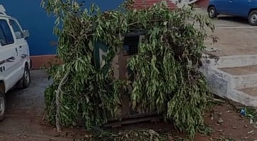 கோத்தகிரியில் கரடிகளைப் பிடிக்க கூண்டுவைப்பு