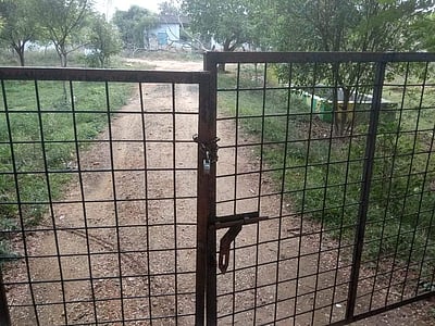 மருத்துவருக்கு கரோனா: சேவூர் கால்நடை மருத்துவமனை மூடல்