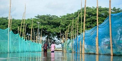 ஆப்கனில் வெள்ளம்: 12 பேர் பலி