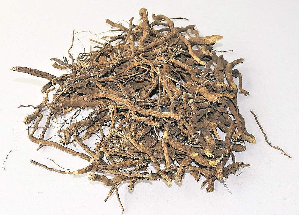 நன்னாரியின் பலன்கள்!