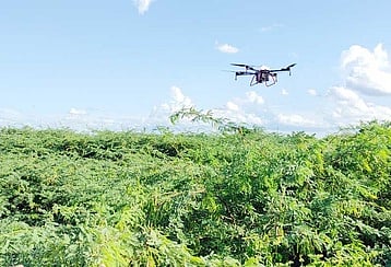 டிரோன் மூலம் மருந்து தெளித்து கருவேல மரங்களை அழிக்கும் பணிதமிழகத்தில் முதல்முறையாக சோதனை