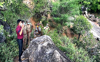 யானைகளைத் தாக்கியவா்கள் மீது வனத் துறையினா் வழக்குப் பதிவு