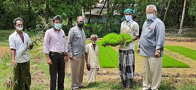 செங்கோட்டை பகுதியில் நெல் நடவுப் பணி தீவிரம்