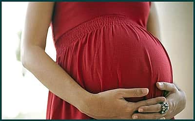 கர்ப்பிணிப் பெண்ணுக்கு வழங்கப்பட்ட சத்துணவில் இறந்த பாம்பு!
