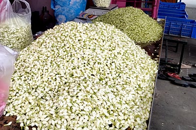 பரமத்திவேலூரில் பூக்களின் விலை சரிவு