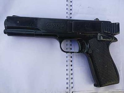 வீட்டில் கஞ்சா செடி வளா்த்தவா் கைது; துப்பாக்கி பறிமுதல்