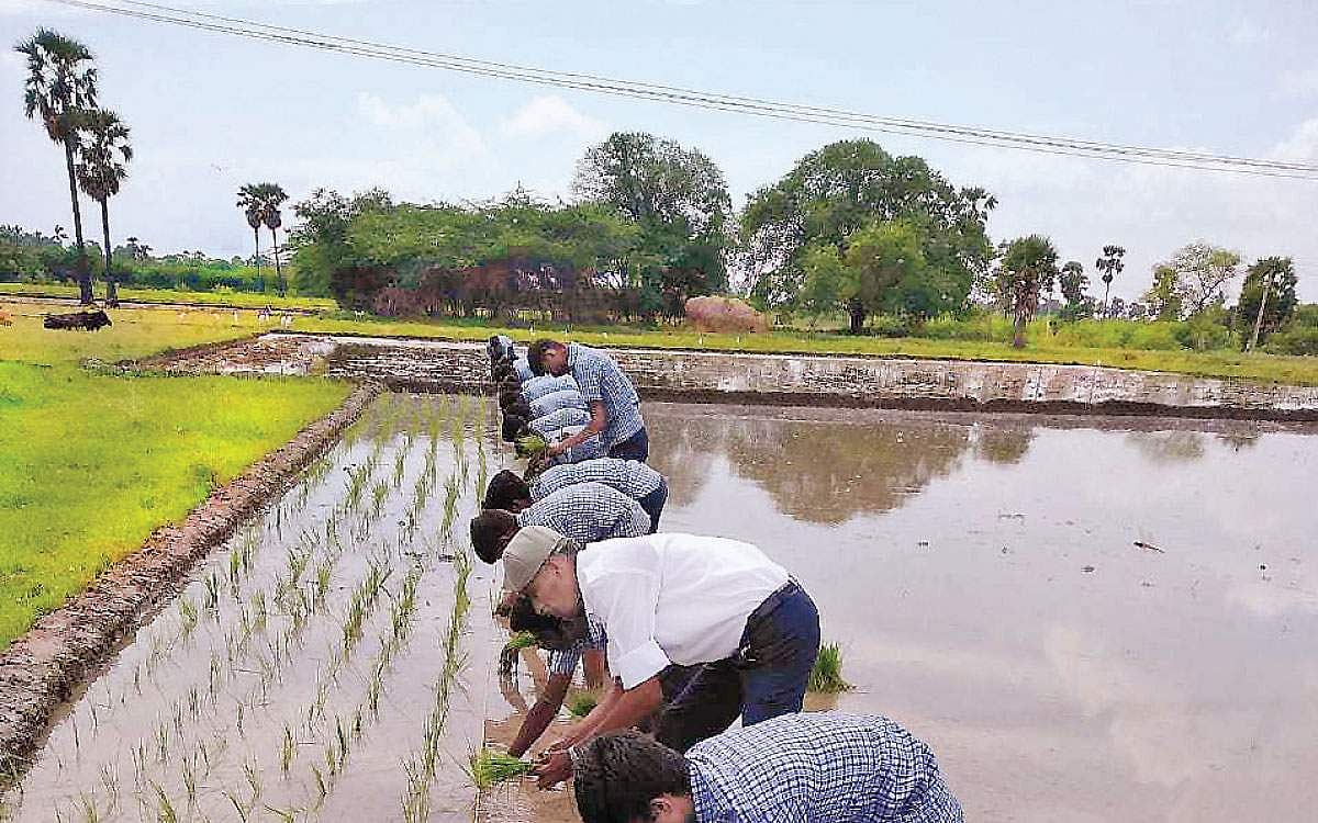விவசாயத்தை மறக்காத மாணவர்கள்!
