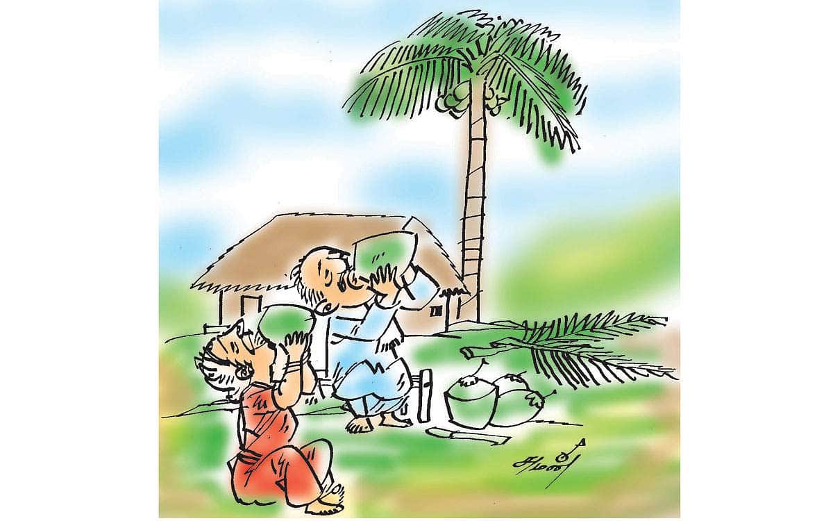 தென்னம்பிள்ளை!