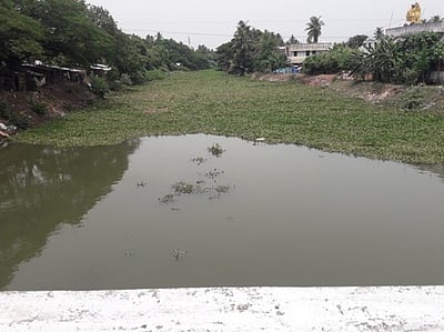 வெண்ணாற்றில் வெங்காய தாமரை செடிகளை அகற்ற கோரிக்கை