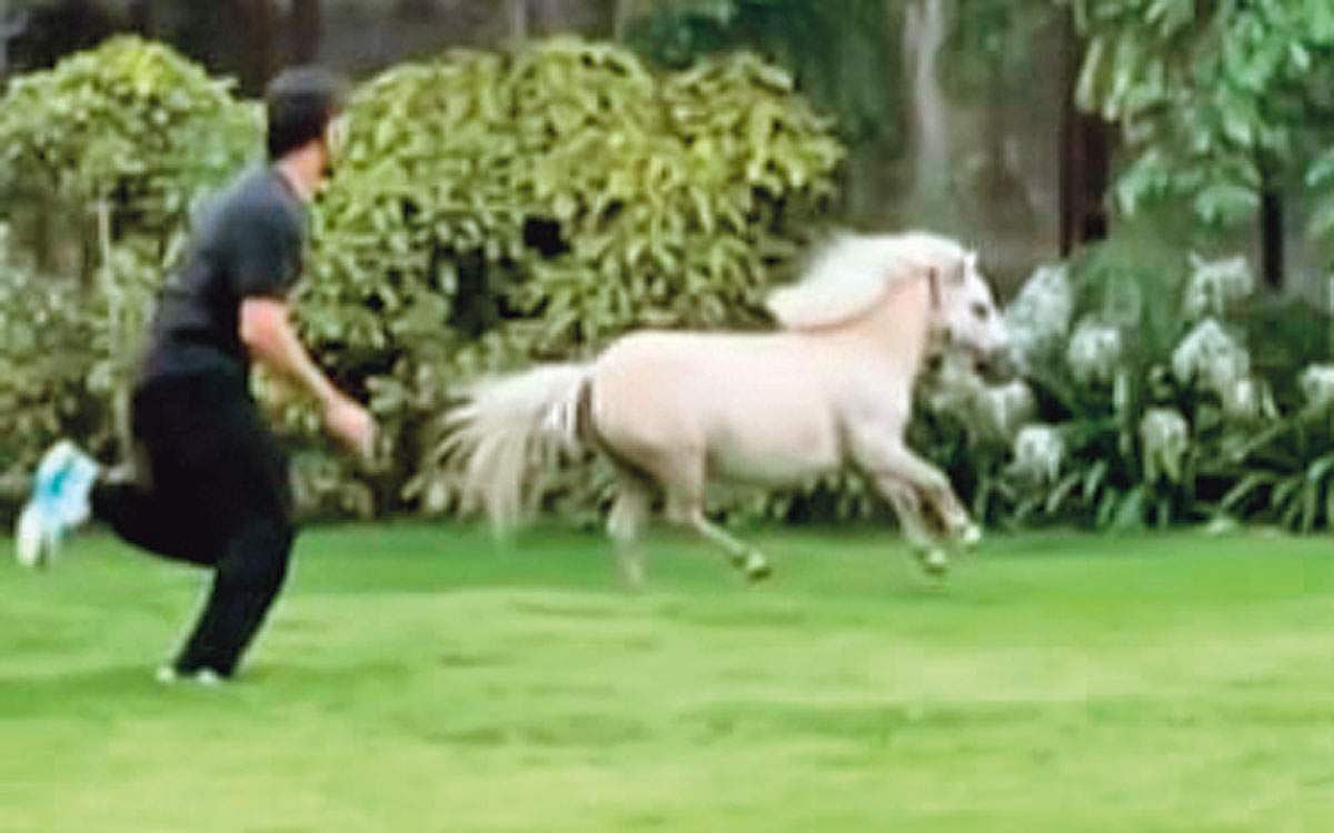 தோனியின் பொழுதுபோக்கு!