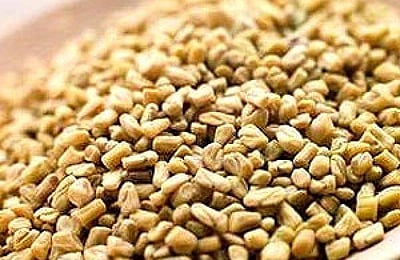 வெந்தயம் ஊற வைத்த நீர் குடிப்பதால் கிடைக்கும் பலன்கள்!