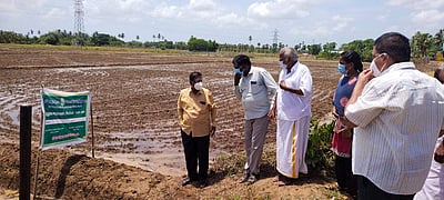 தலைஞாயிறு பகுதியில் மாநில வேளாண் இயக்குநர் ஆய்வு