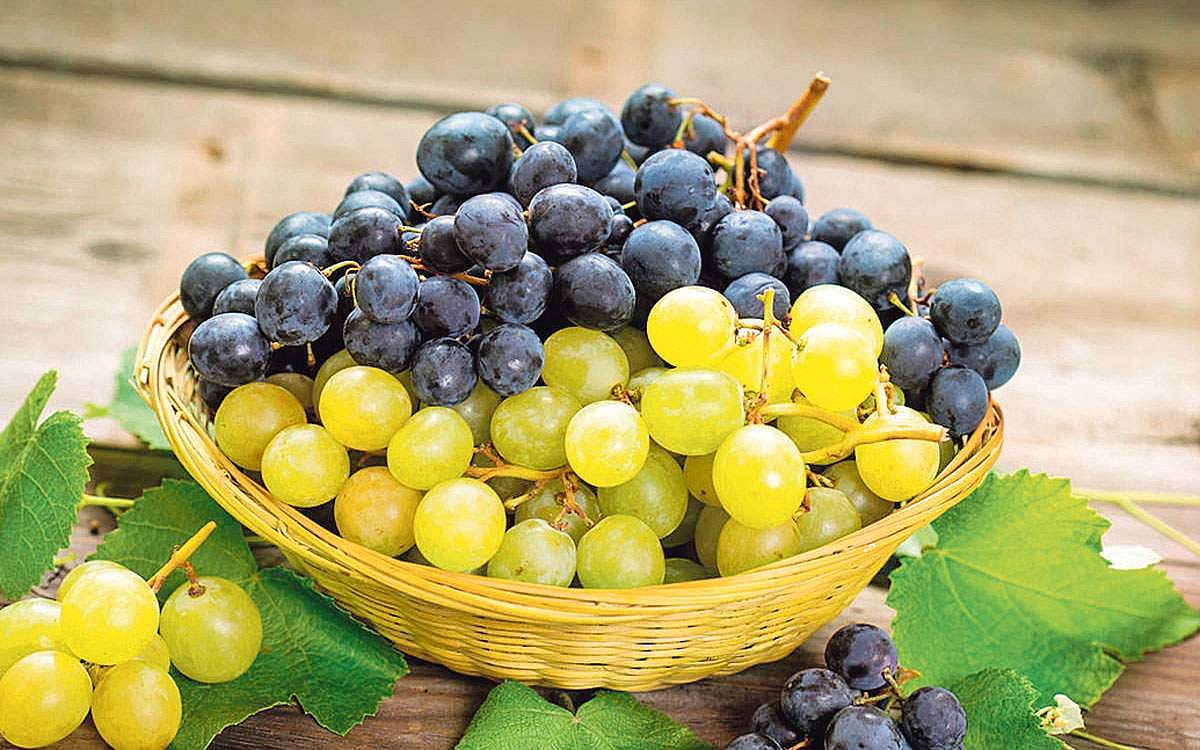 திராட்சைப் பழத்தின் நன்மைகள் !