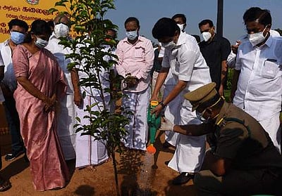 மரக்கன்றுகள் நடும் திட்டத்தை தொடங்கி வைத்தார் முதல்வர் ஸ்டாலின்!