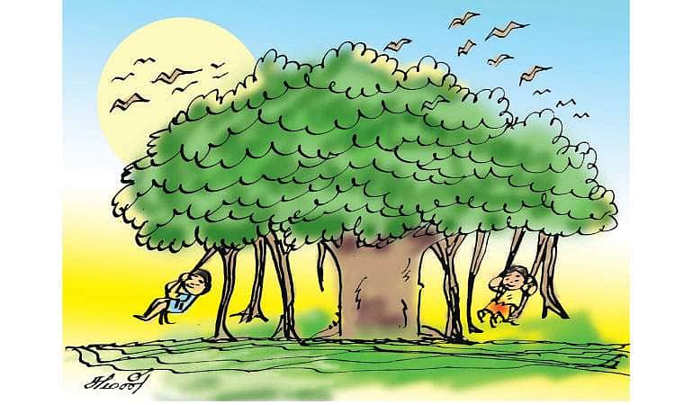 விழுது