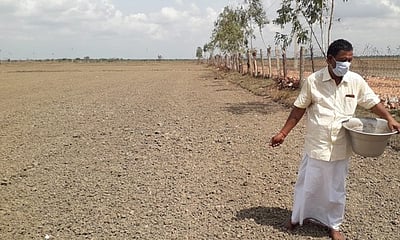 குறுவை சாகுபடி பணிகளைதொடங்கிய முன்னாள் அமைச்சா்