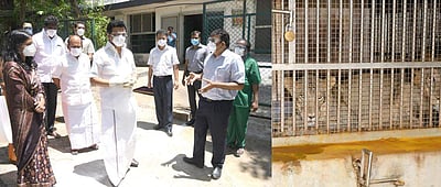 சிங்கங்களுக்கு கரோனா: வண்டலூர் உயிரியல் பூங்காவில் முதல்வர் நேரில் ஆய்வு!