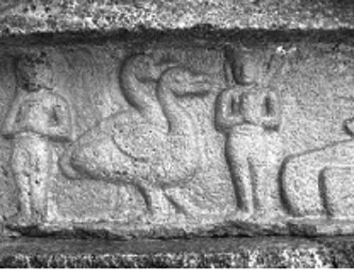 பனையுறை அன்றிலும் நீருறை மகன்றிலும் முது