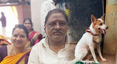 தம்பதி தற்கொலை: தப்பிப் பிழைத்த நாயின் பாசப் போராட்டம்