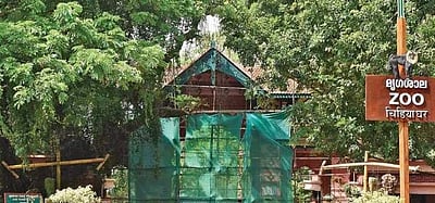 திருவனந்தபுர விலங்கியல் பூங்காவில் ராஜநாகம் கடித்து பணியாளர் பலி