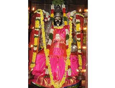 அம்மை நோயைப் போக்கி அருளும் புன்னைநல்லூர் மாரியம்மன்