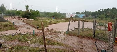 உசிலம்பட்டியில் இடியுடன் கூடிய கனமழை 