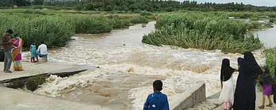 ராஜக்கல் அருகே பாலாற்றில் வெள்ளம்; அழிஞ்சி குப்பத்தில் போக்குவரத்து நிறுத்தம்