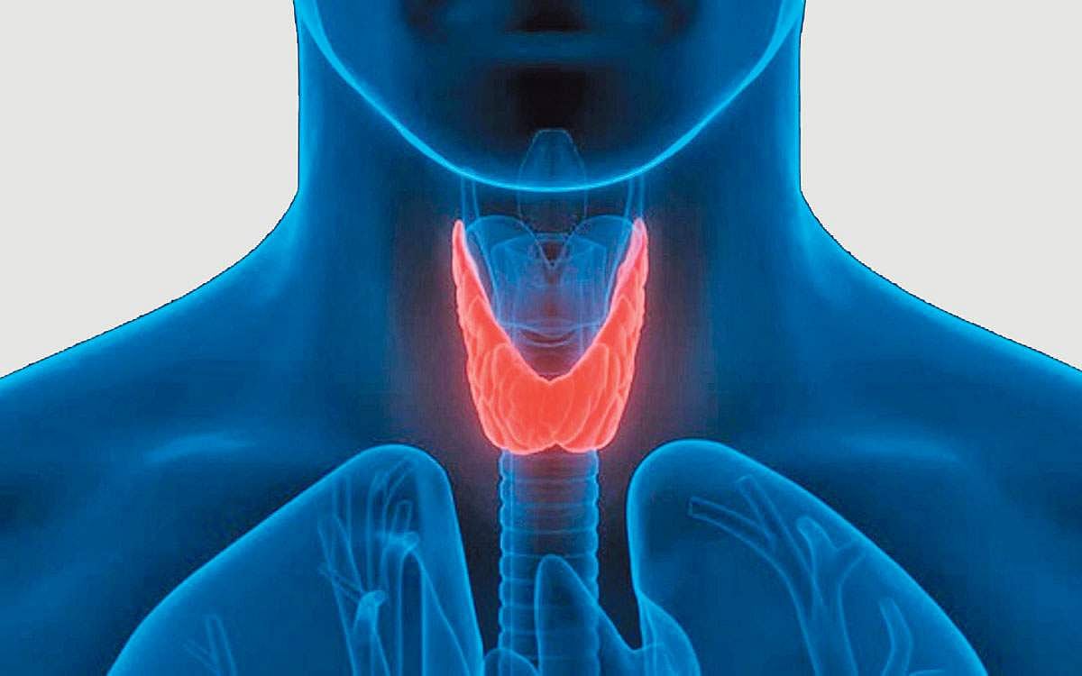 ஆயுள் காக்கும் ஆயுர்வேதம்: தைராய்டு பிரச்னை... உணவு, மருந்துகள்! 