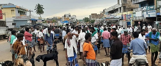 கால்நடைகள் விற்பனைக்கு புதிய இணையதளம்! - தமிழக அரசு விளக்கம்