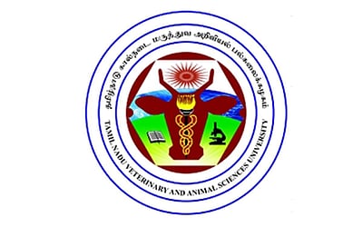 வேலைவாய்ப்பு அறிவிப்பு: தமிழக அரசில் உதவி பேராசிரியர் வேலைக்கு விண்ணப்பங்கள் வரவேற்பு