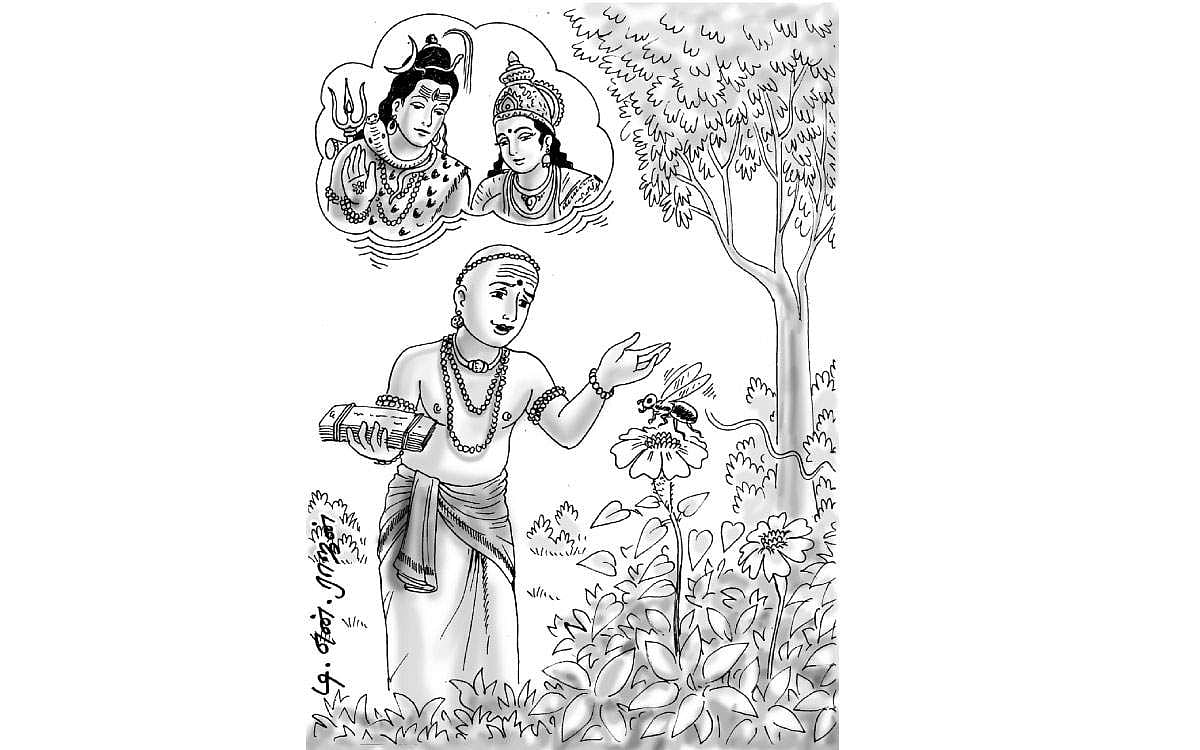 சித்த விகாரக் கலக்கம்!