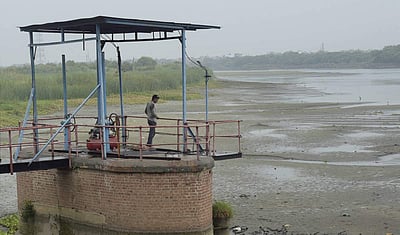 வற்றிய யமுனை - புகைப்படங்கள்