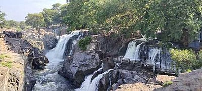 ஒகேனக்கல்லுக்கு நீா்வரத்துக் குறைவு